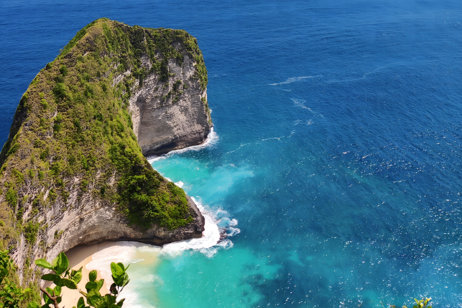 Tropical Bali Escape